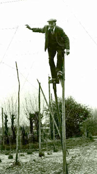 Man on Stilts 1950